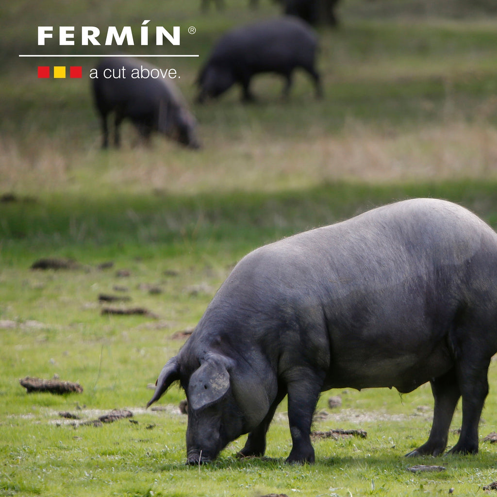 Fermín Boneless Jamón Ibérico Ham
